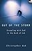 Out of the storm: Questions And Consolations From The Book Of Job