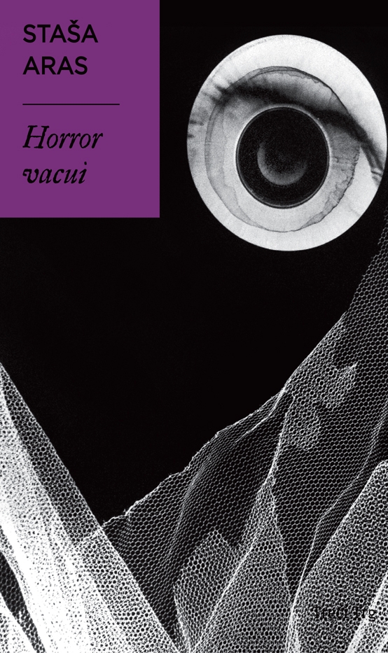 Horror Vacui (Paperback)