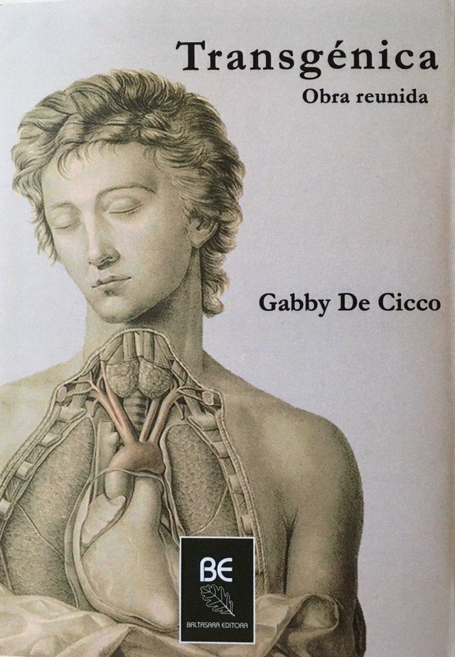 Transgénica (Paperback)