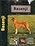 Basenji