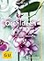 Orchideen pflegen by Frank Röllke