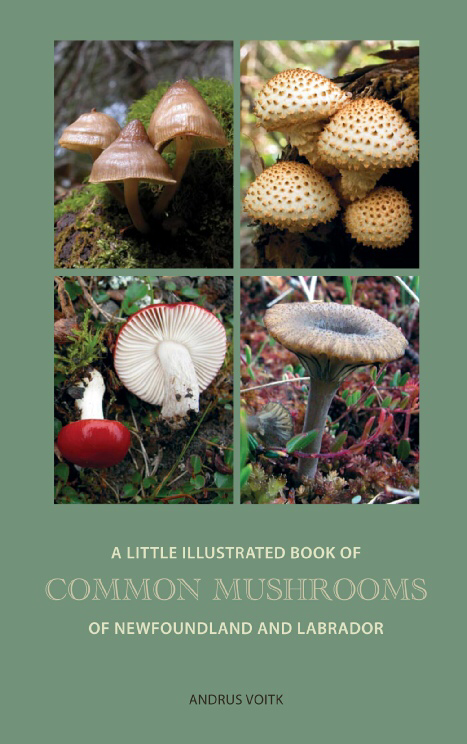 A Little Illustrated Book of Common Mushrooms of Newfoundland and Labrador (Paperback)