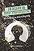 Higher Self Expression: How to Become an Artist of Possibility (The Mystical Philosophy of Jeff Carreira)