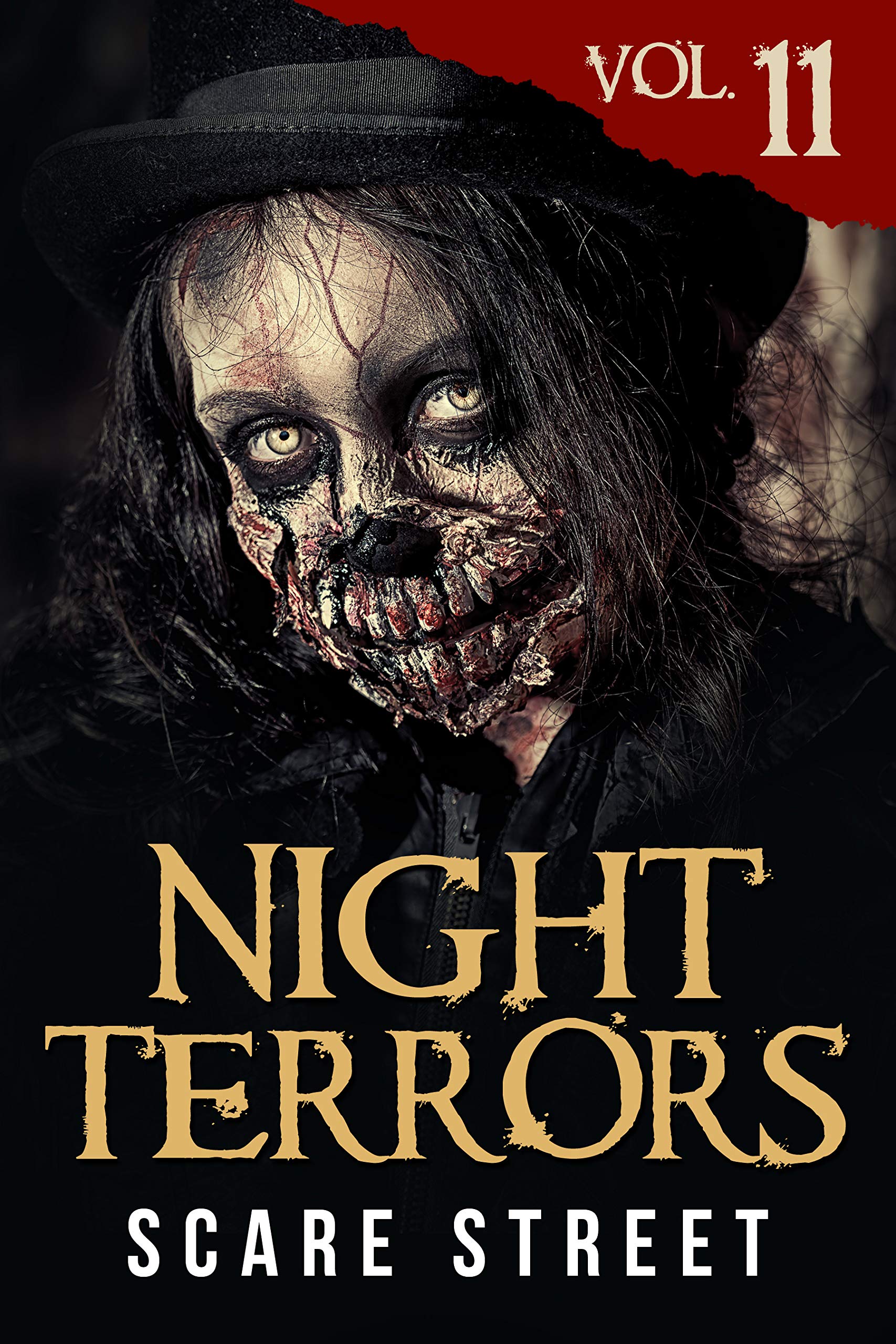 Night Terrors Vol. 11: Short Horror Stories Anthology (Kindle Edition)