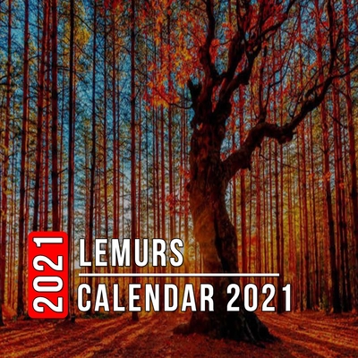 Lemurs Calendar 2021: 12 Month Mini Calendar from Jan 2021 to Dec 2021, Cute Gift Idea - Pictures in Every Month
