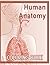 Human Anatomy Coloring Book: 80+ drawings that Explore The Human Body, Neuroanatomy, Anatomy and Physiology For The Human Body Systems.. ( No Guide Just Anatomy Art To Color ) For Adults
