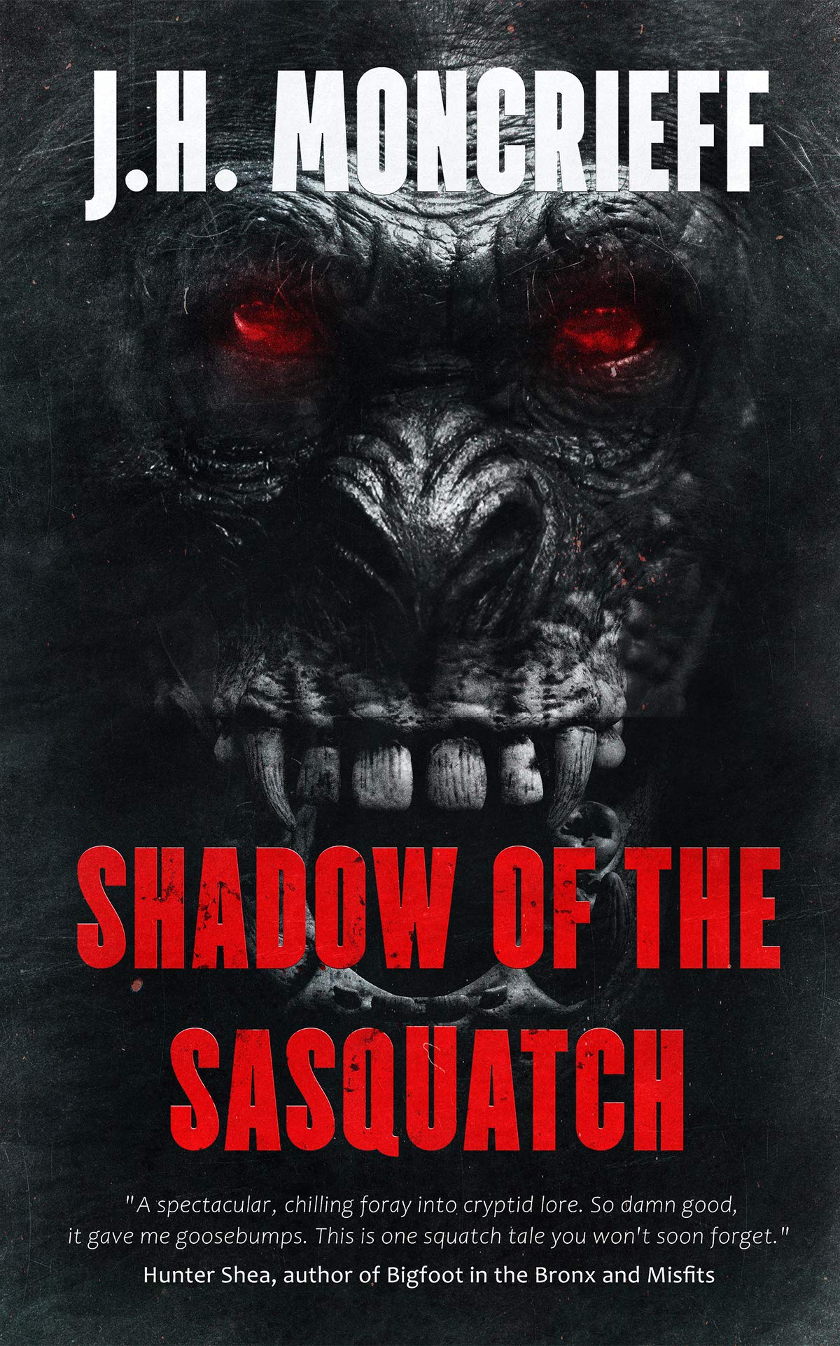 Shadow of the Sasquatch (Kindle Edition)