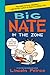 Big Nate: In the Zone