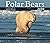 Polar Bears 2010