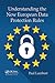 Understanding the New European Data Protection Rules
