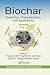 Biochar (Urbanization, Industrialization, and the Environment)