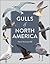 Gulls of North America by Fred Shaffer