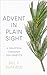 Advent in Plain Sight: A Devotion through Ten Objects