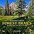 America's Great Forest Trails: 100 Woodland Hikes of a Lifetime (Great Hiking Trails)