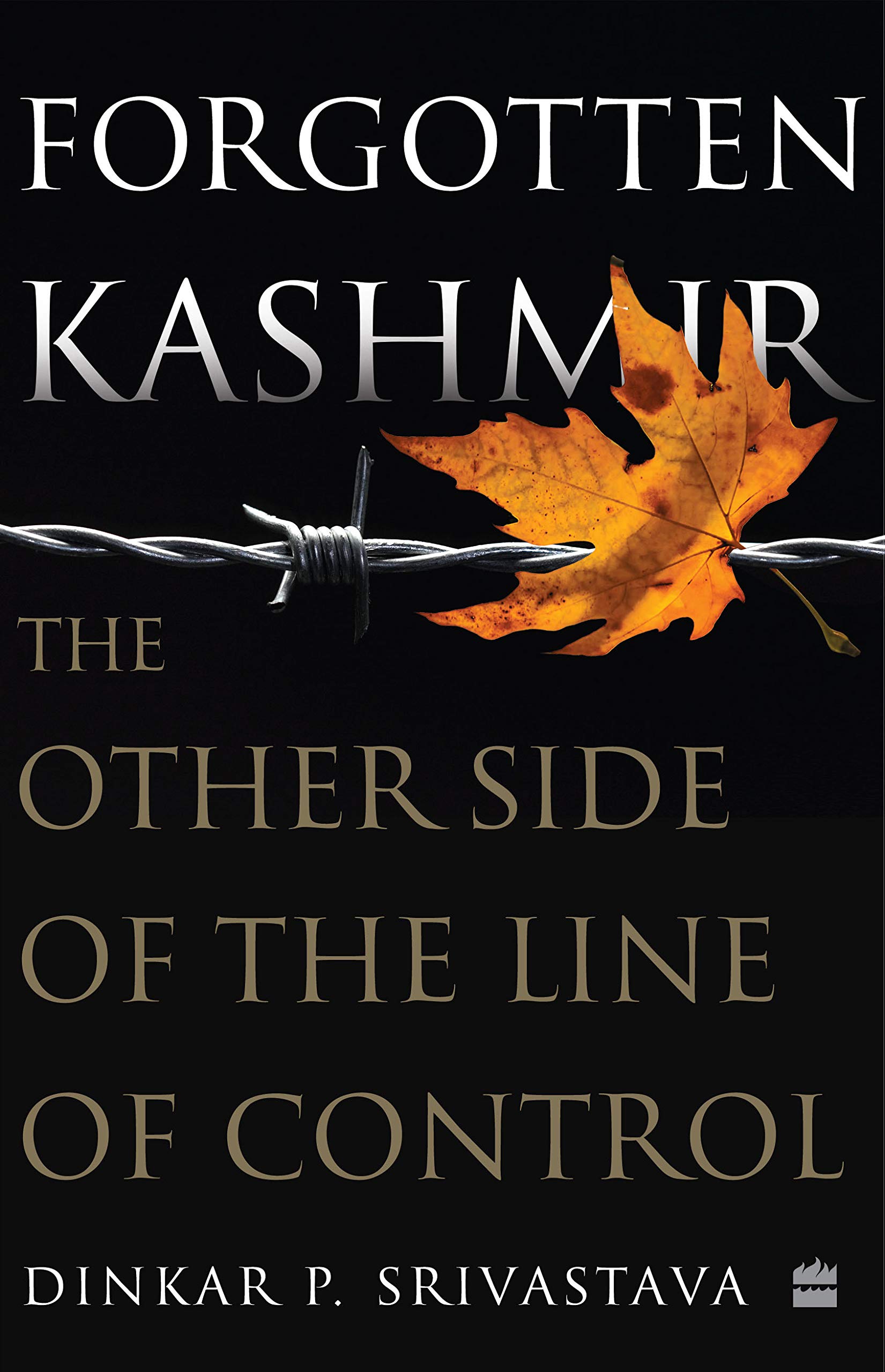 Forgotten Kashmir: The Other Side of the Line of Control (Kindle Edition)