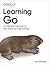 Learning Go