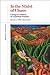 In the Midst of Chaos: Caring for Children as Spiritual Practice (The Practices of Faith Series)
