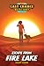 Escape from Fire Lake (Last Chance Detectives)
