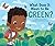 What Does It Mean to Be Green?: A Picture Book about Making Eco Friendly Choices and Saving the Planet!