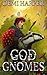 God of Gnomes: A Dungeon Co...
