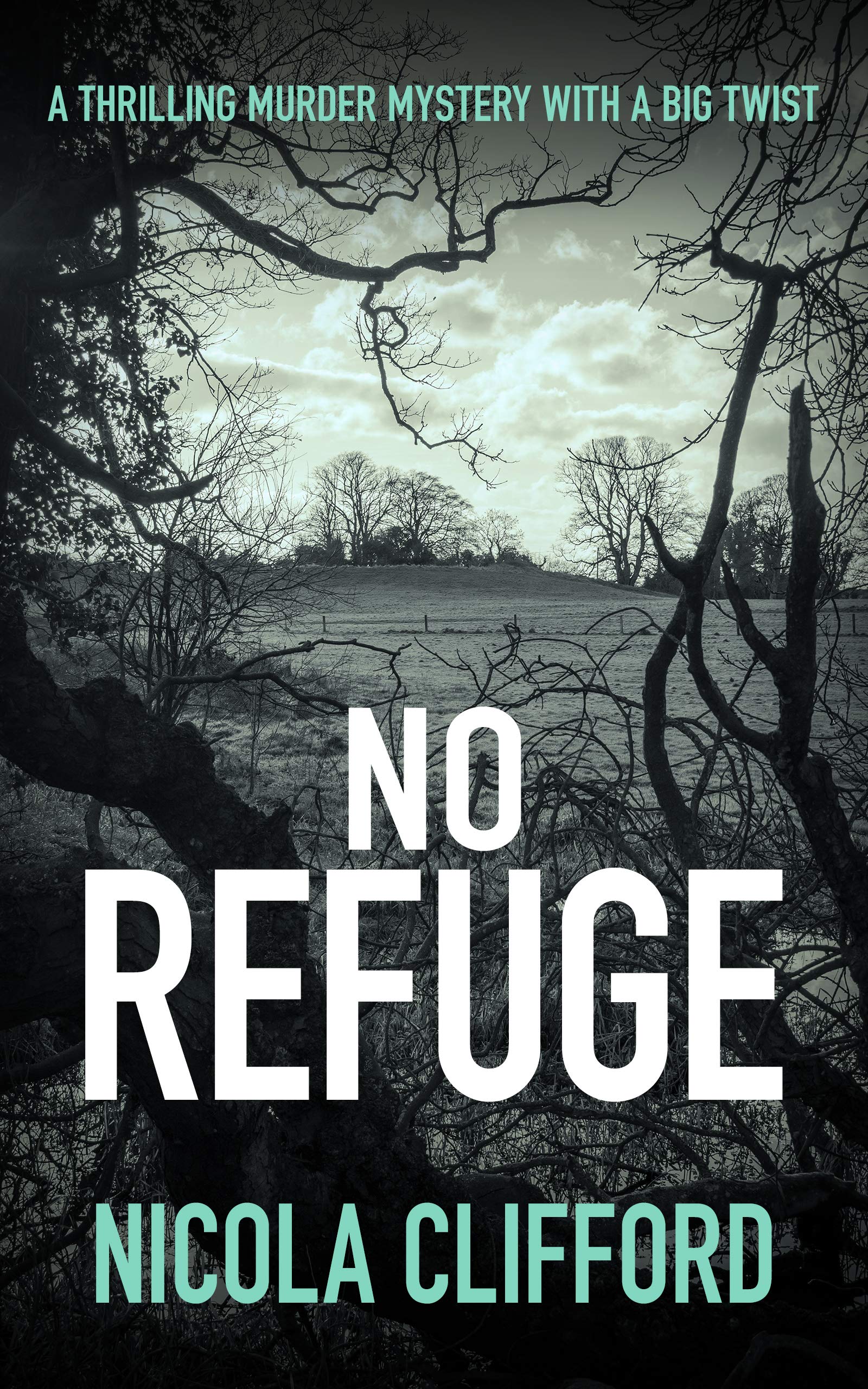 No Refuge (Welsh Crime Mysteries #1)