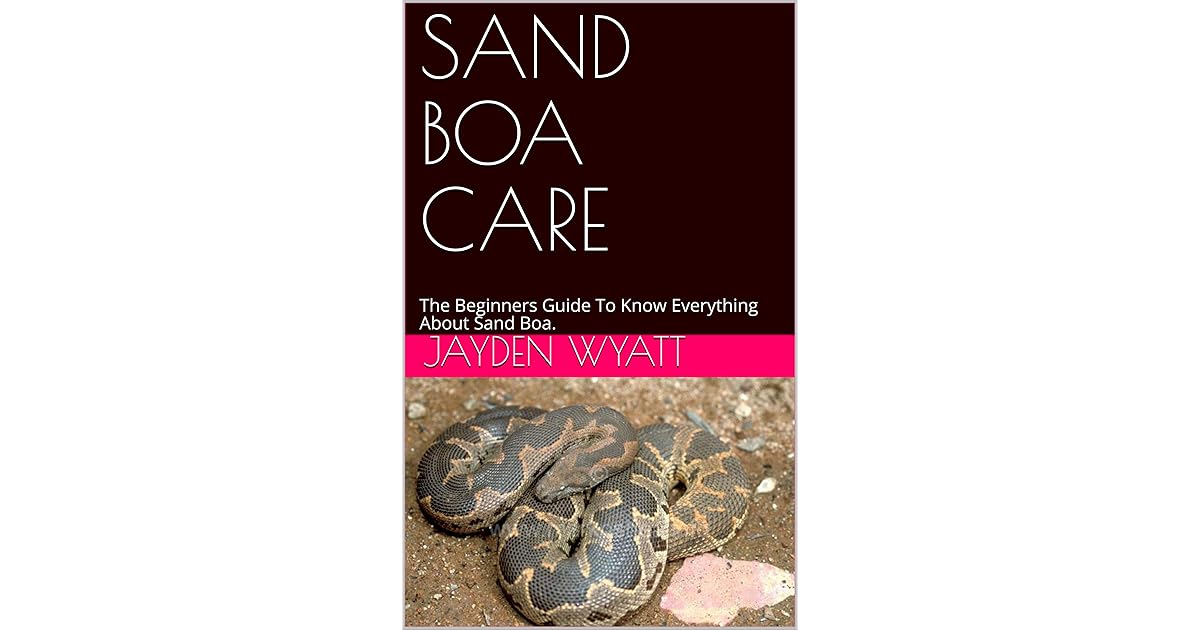 SAND BOA CARE The Beginners Guide To Know Everything About Sand Boa