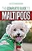 The Complete Guide to Maltipoos: Everything you need to know before getting your Maltipoo dog