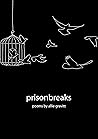 prisonbreaks