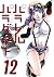 Paradise Manga Vol 12: Parallel Paradise Manga