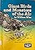 Giant Birds and Monsters of the Air