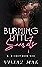 Burning Little Secrets by Vivian Mae