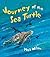 Journey of the Sea Turtle