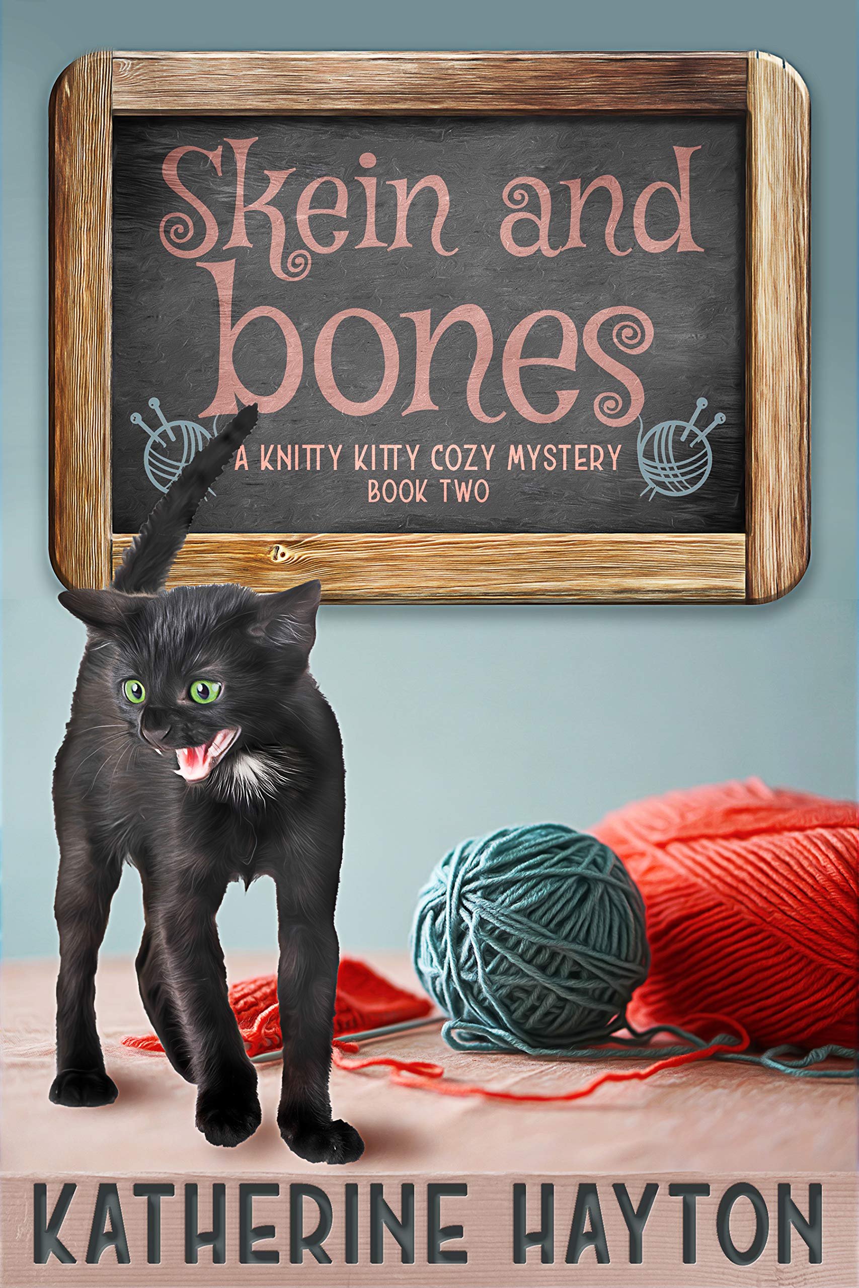 Skein and Bones (Knitty Kitty Cozy Mysteries #2)