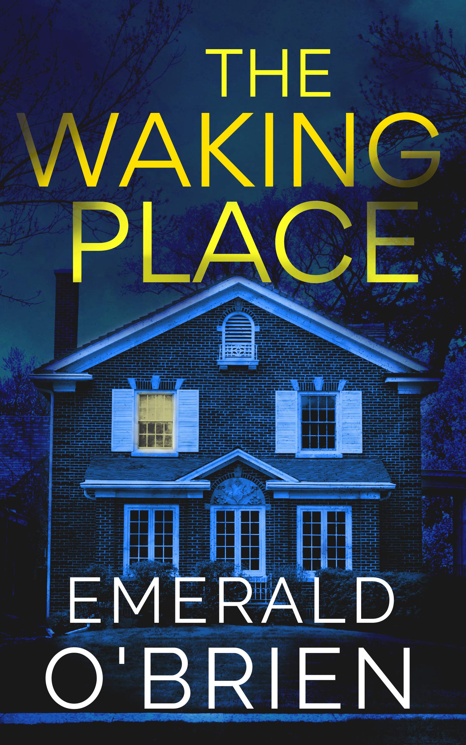 The Waking Place (Kindle Edition)