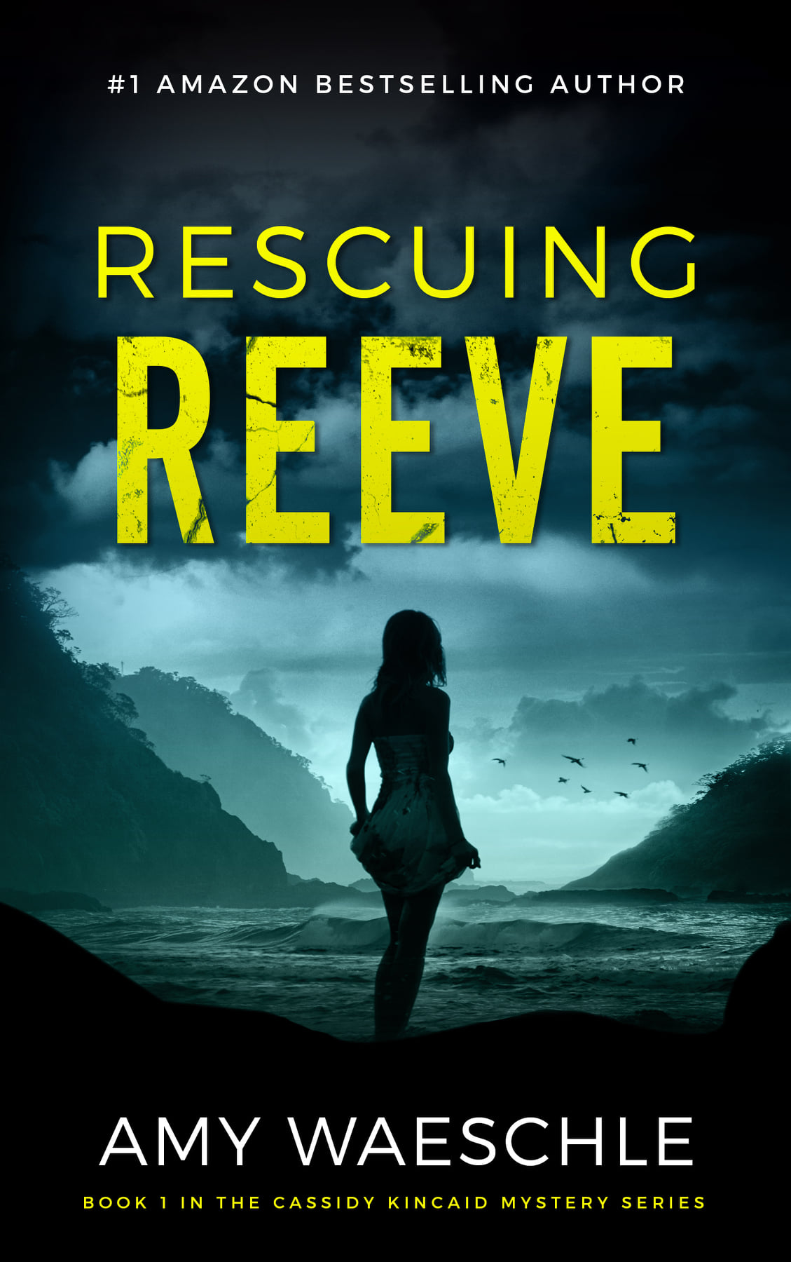 Rescuing Reeve (Cassidy Kincaid #1)