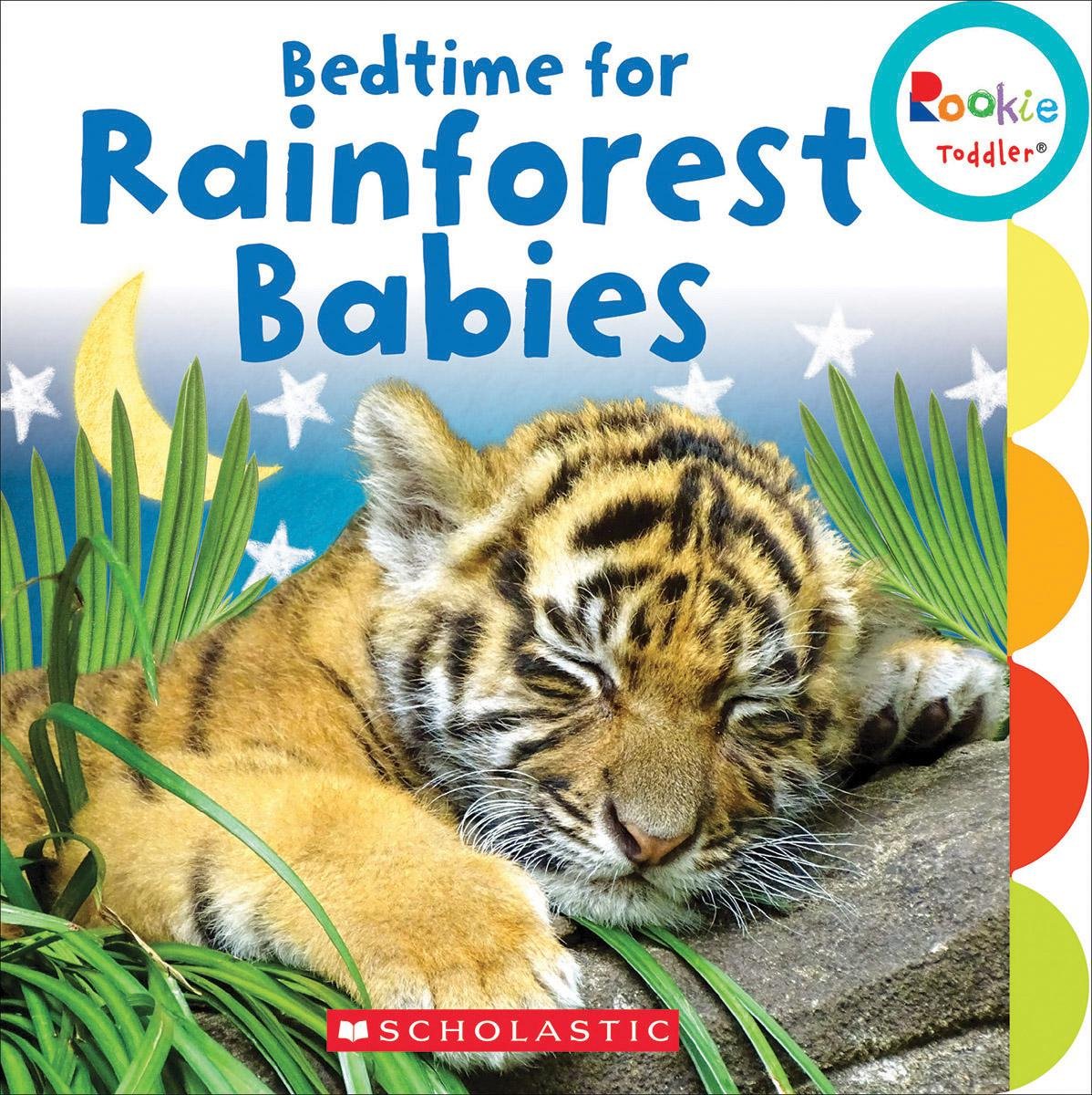 Bedtime for Rainforest Babies (Board book)
