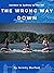The Wrong Way Down by Jeremy Burfoot