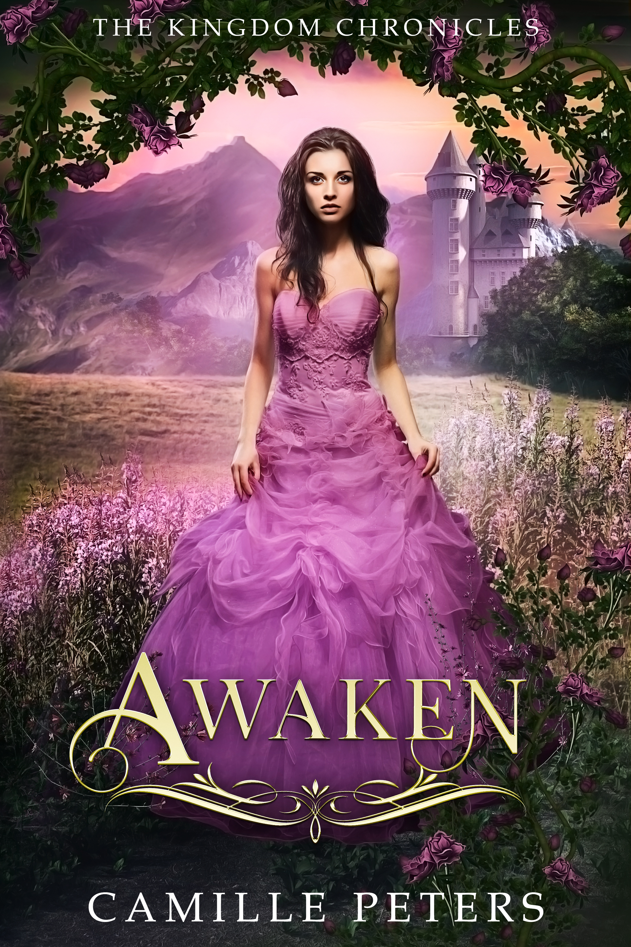Awaken (The Kingdom Chronicles #7)