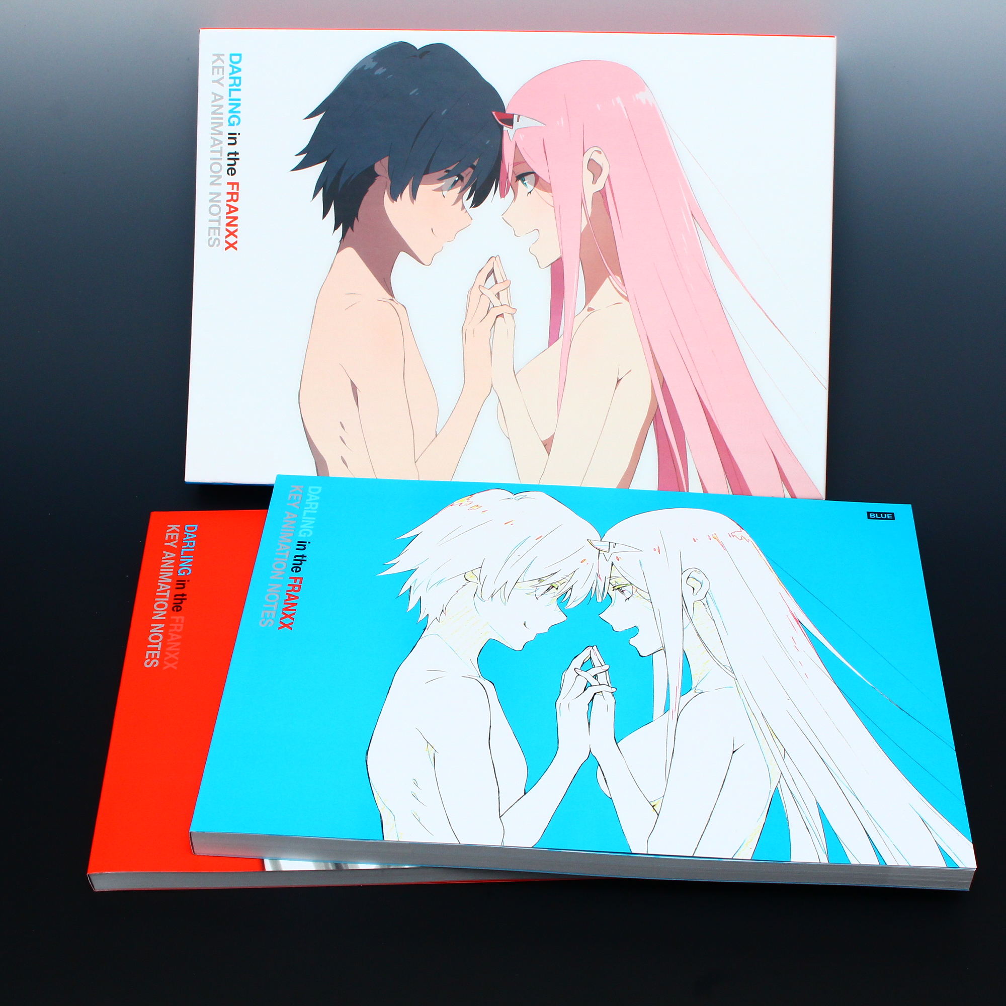 Darling in the FranXX Key Animation Notes