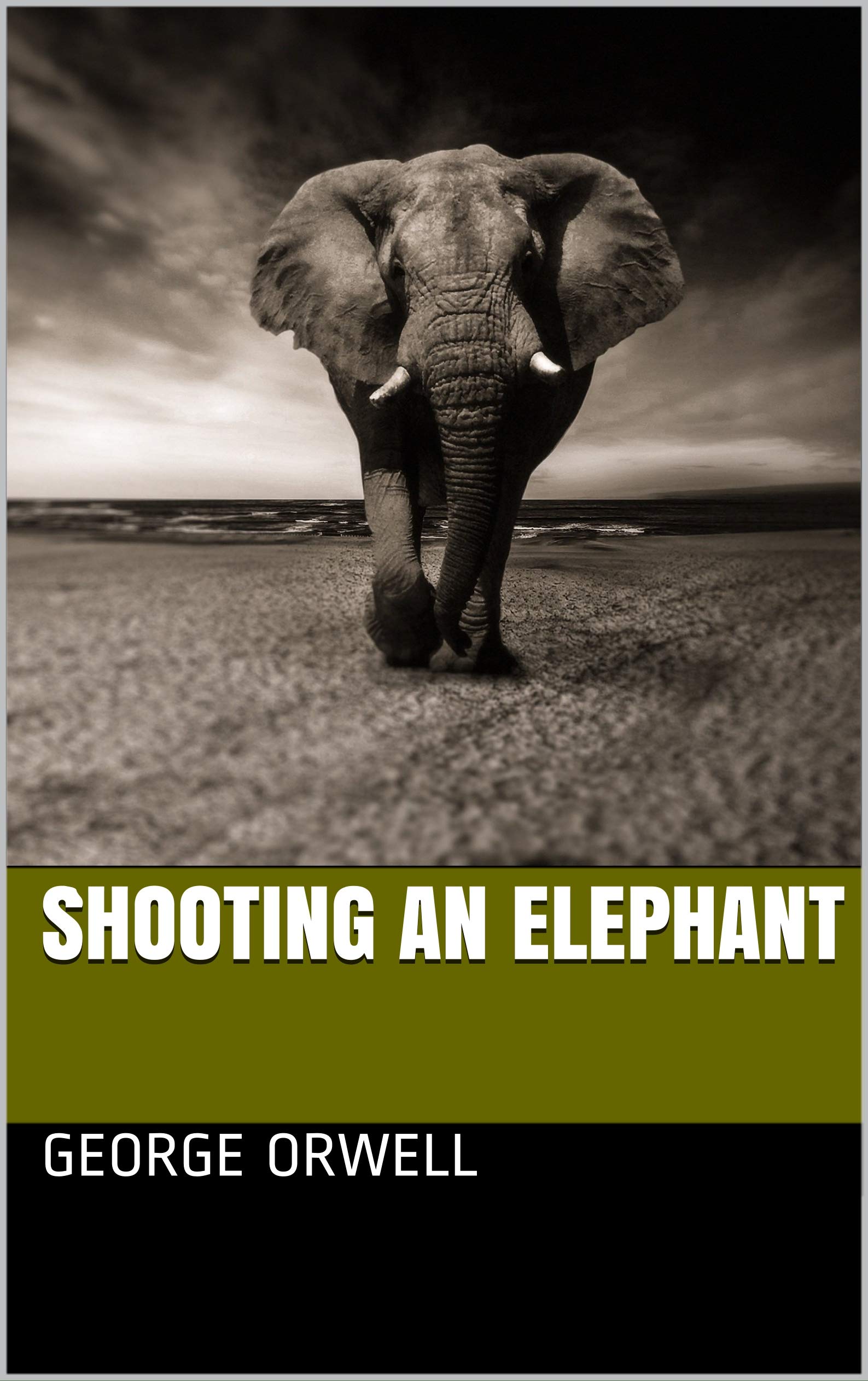 Shooting an elephant