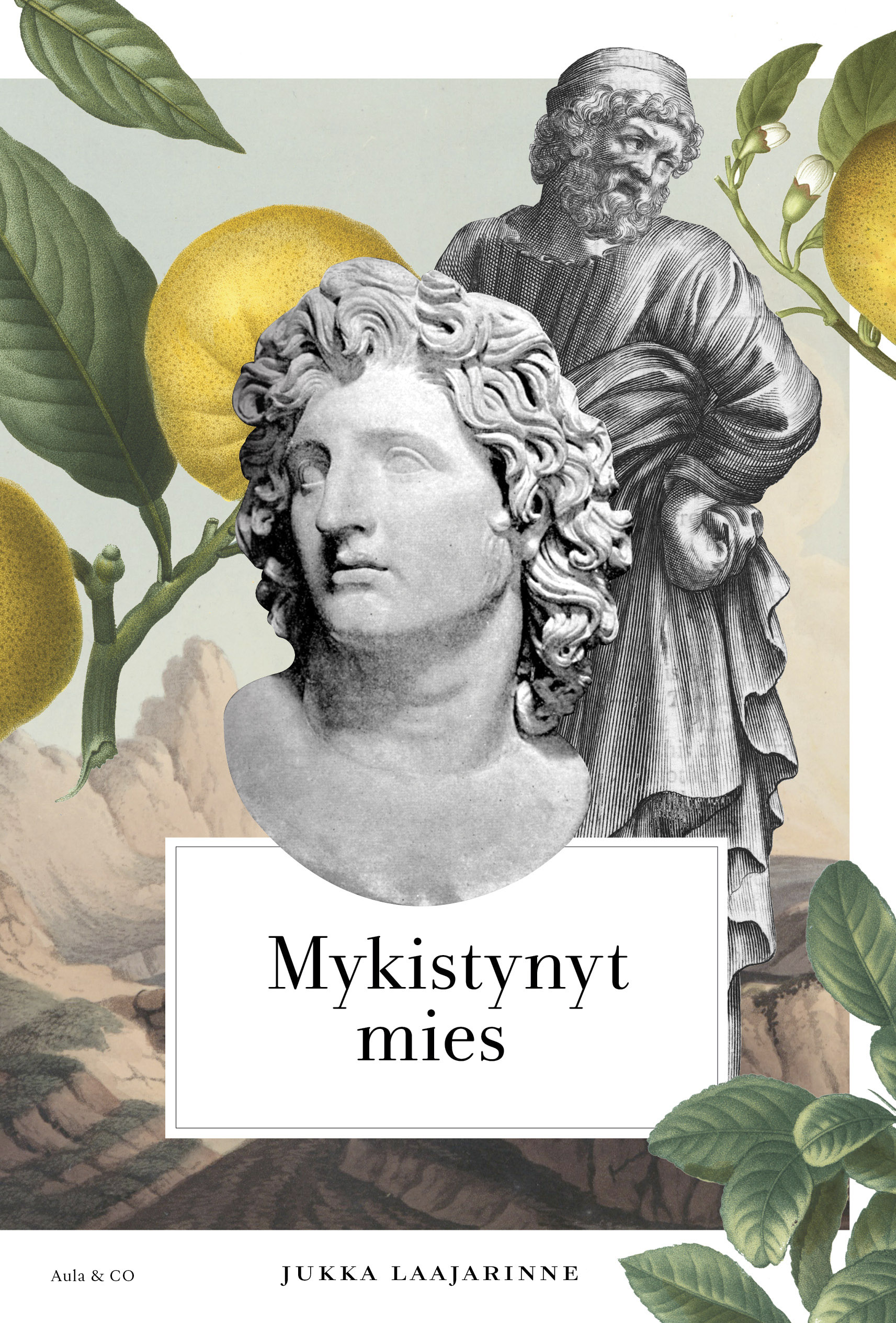 Mykistynyt mies (Hardcover)