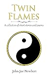 Twin Flames: A jo...