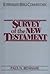 Survey of the New Testament