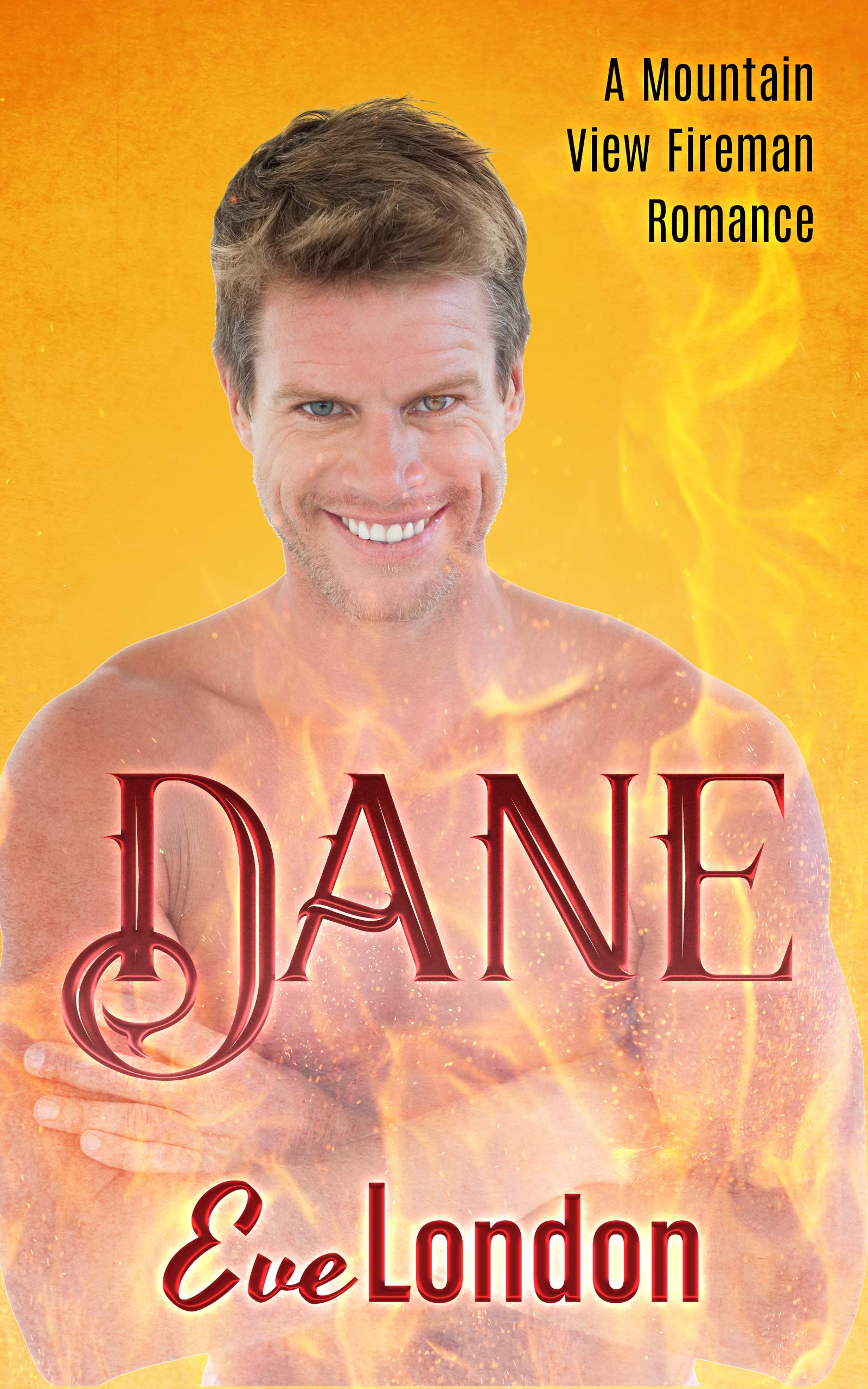Dane (Mountain View Fireman #4)