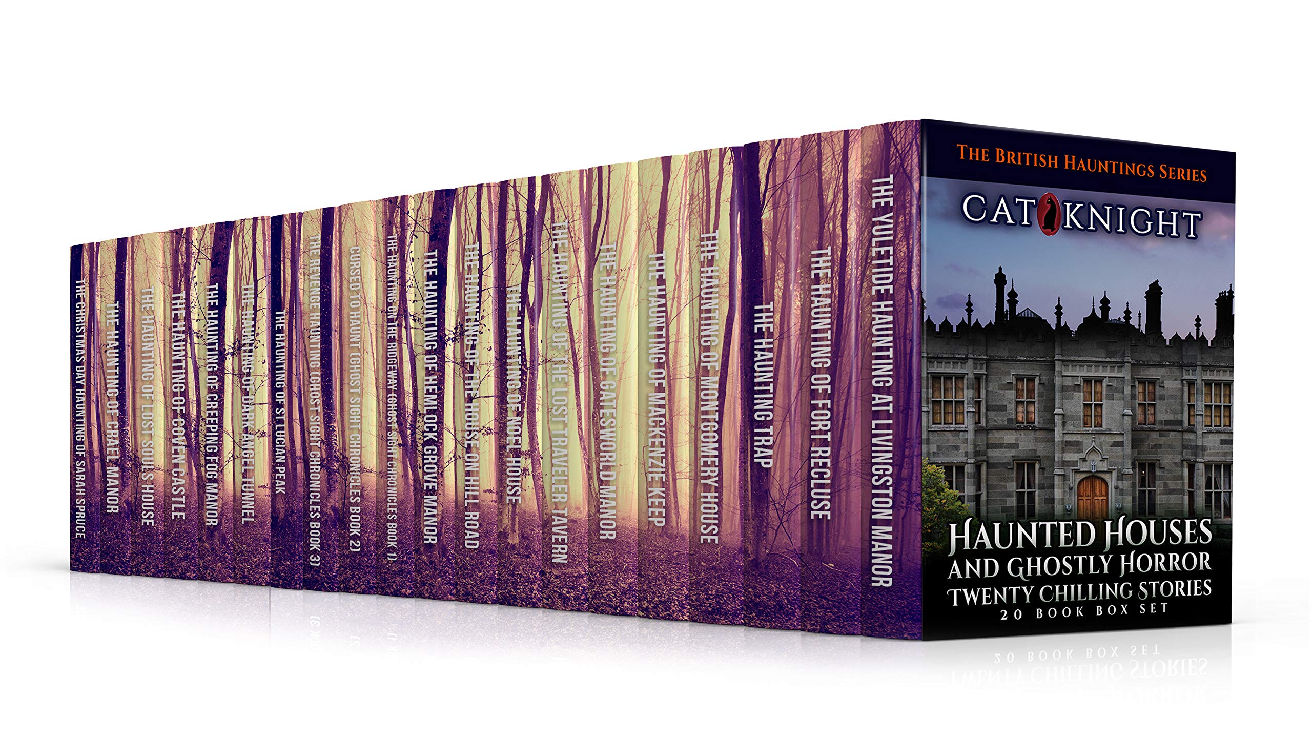 Haunted Houses and Ghostly Horror Twenty Chilling Stories (Kindle Edition)