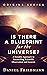 Is There a Blueprint for the Universe? by Daniel Friedmann