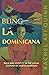 Being La Dominicana: Race and Identity in the Visual Culture of Santo Domingo (Dissident Feminisms) (Volume 1)