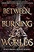 Between Burning Worlds (System Divine, #2)