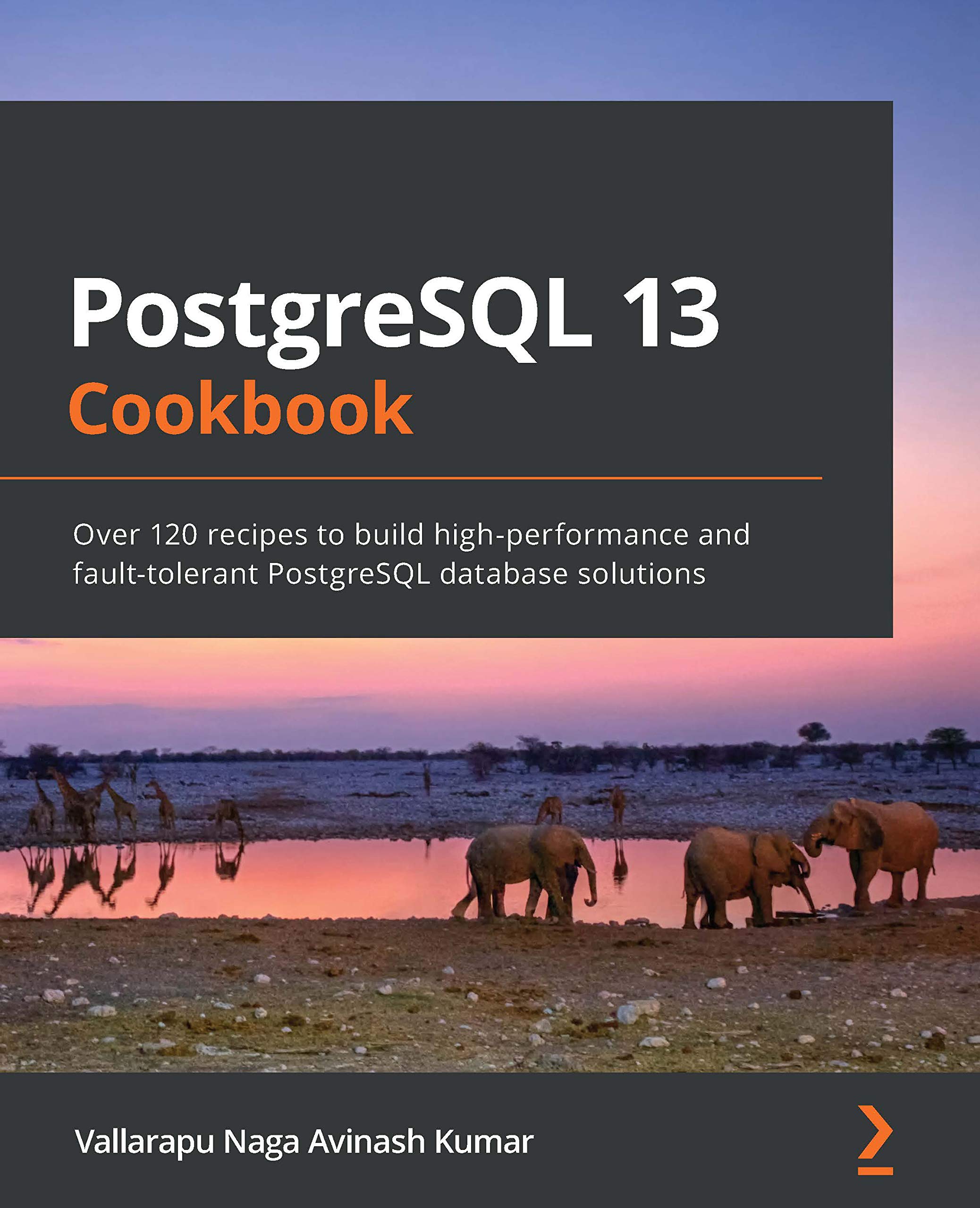 PostgreSQL 13 Cookbook: Over 120 recipes to build high-performance and fault-tolerant PostgreSQL database solutions (Kindle Edition)