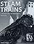 Steam Trains: A Modern View of Yesterday's Railroads